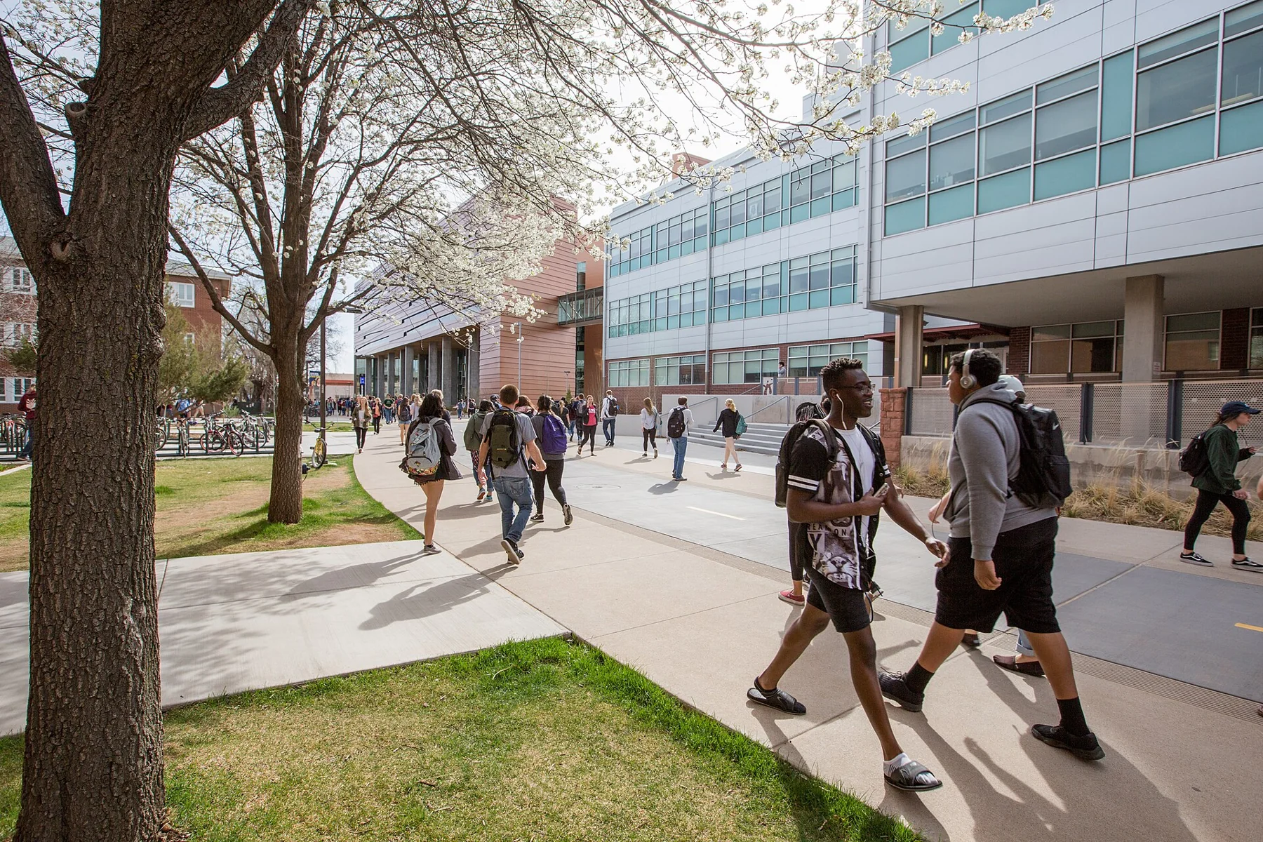 Students on a university campus