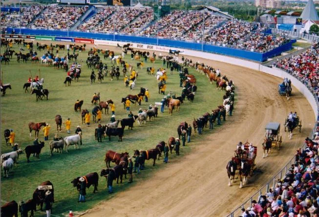 Agricultural fair